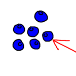 blueberry