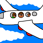 by plane