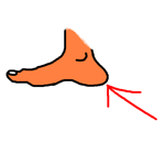heel