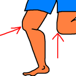 knee