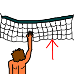 net
