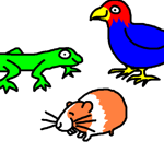 !pets