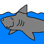 !shark