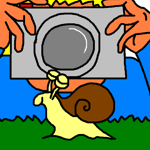 !taking photographs